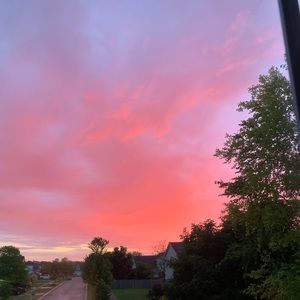 Meet your Posher, Scarlette